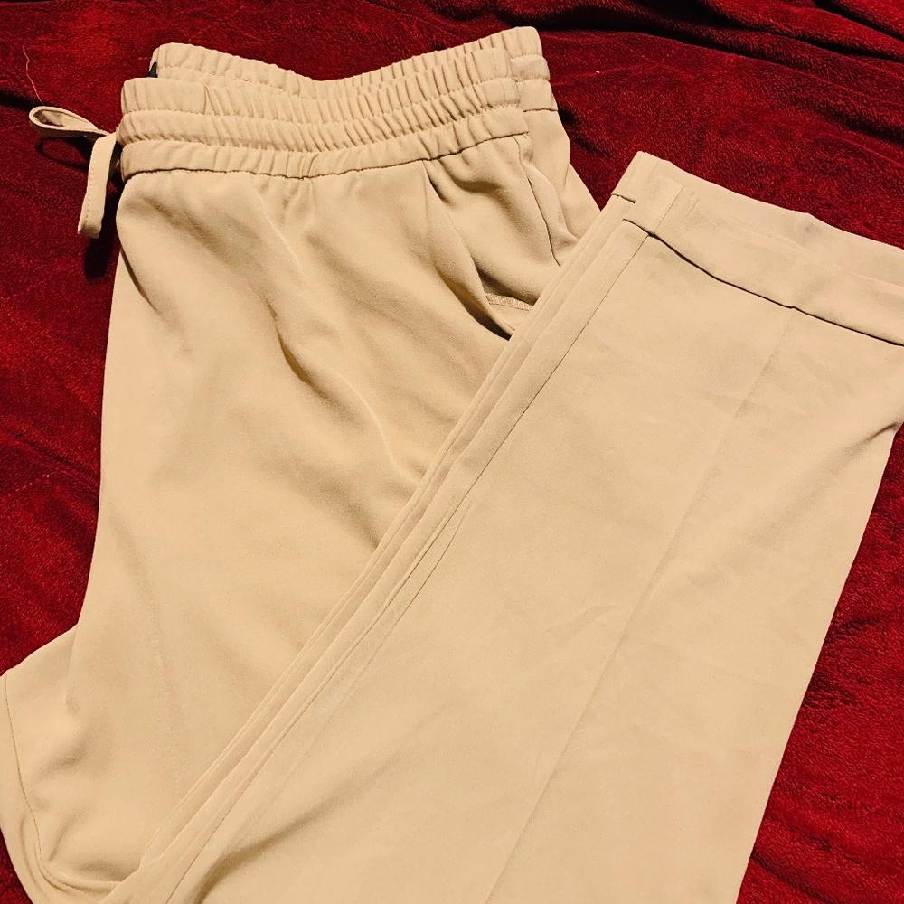 7th Avenue Pull On Pant